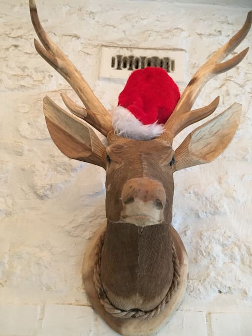 Our stag becomes Rudolph at Christmas.