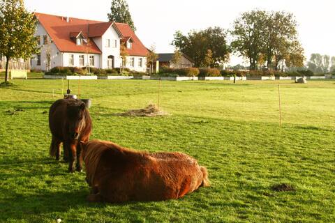 Cottage on an organic farm close to Rügen ferry