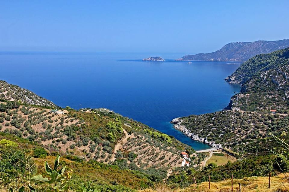 An expansive view of the coastline reveals tranquil blue waters meeting rolling hills and greenery. Small islands can be spotted on the horizon, while terraced land with olive trees leads towards the sea, enhancing the natural landscape.