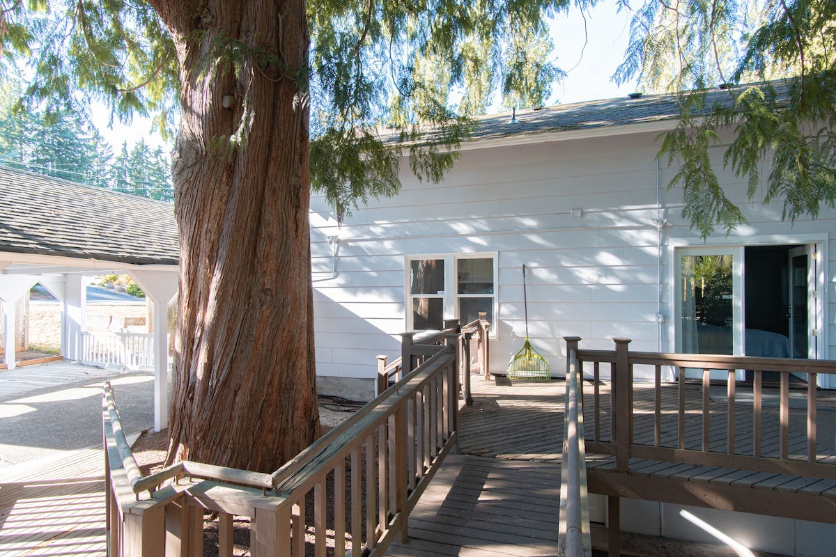 A spacious outdoor area features a sturdy wooden ramp leading to the entrance of the house. Trees provide shade, creating a serene environment. Large windows reflect natural light, enhancing the inviting feel of the space.