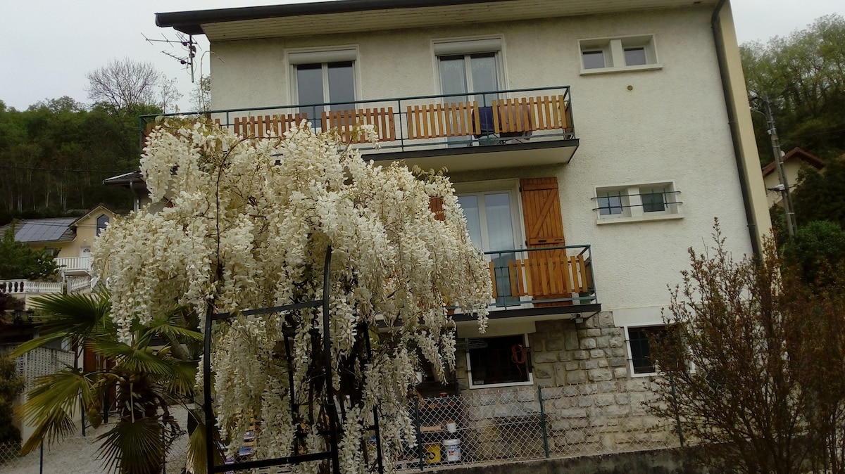 The exterior of a two-story building is visible, featuring a balcony with wooden railings. A flowering tree is in the foreground, adding a touch of nature. The building showcases light-colored walls and several large windows, while a landscaped area surrounds it.
