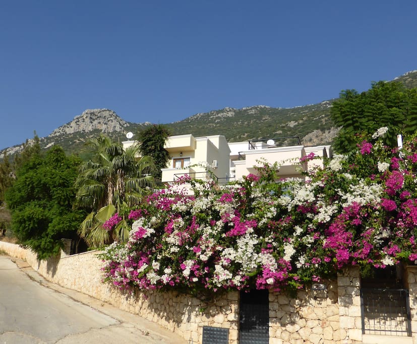 Private villa set in lovely gardens