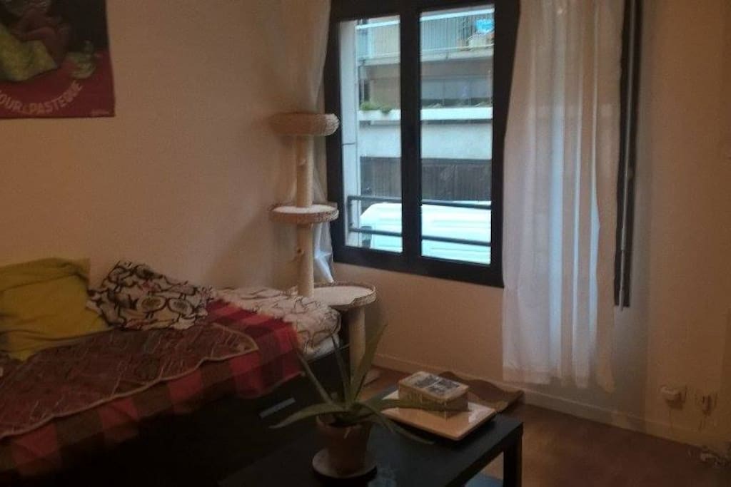 Pièce principale avec grande fenêtre (et arbre à chat...)