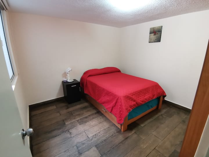 ريكامارا كابيتال