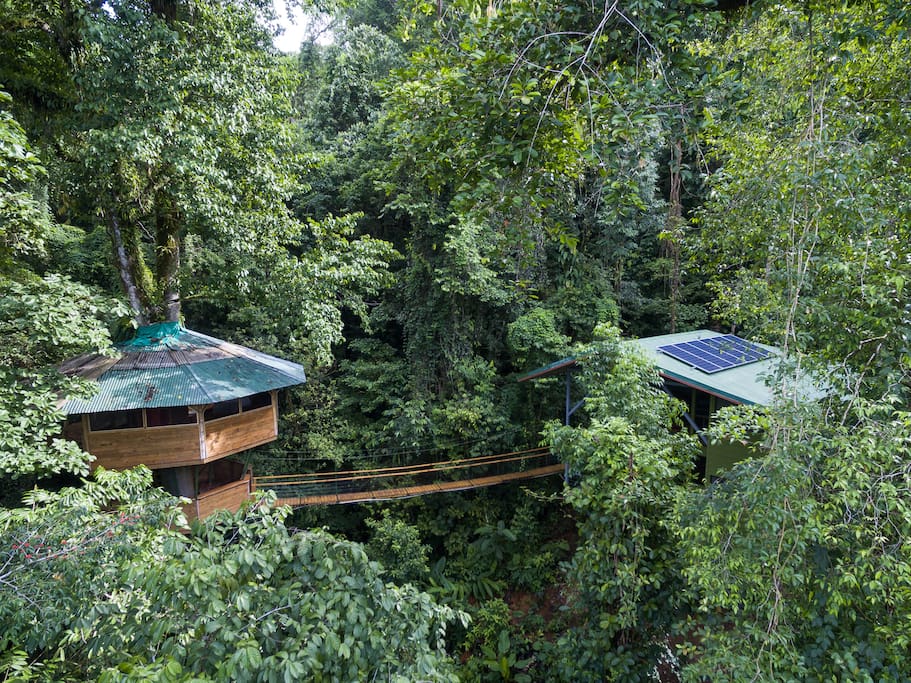 El Castillo Mastate comprises two pods - an epic master bedroom pod set 90ft up in a primary growth tree connected via suspension bridge to a contemporary pod with two additional bedrooms, a spacious kitchen/dining room, and a living area