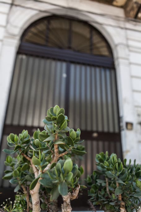 L'ingresso del palazzo - The entrance to the palace