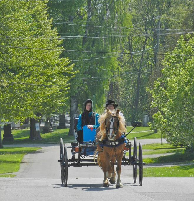 WINDY HILLS HORSE AND BUGGY COMPANY - Bed &amp; Breakfasts for ...