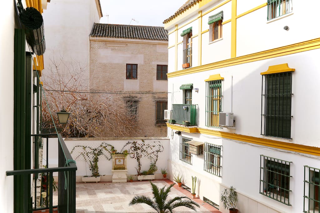 View of the patio of the house from the living room.