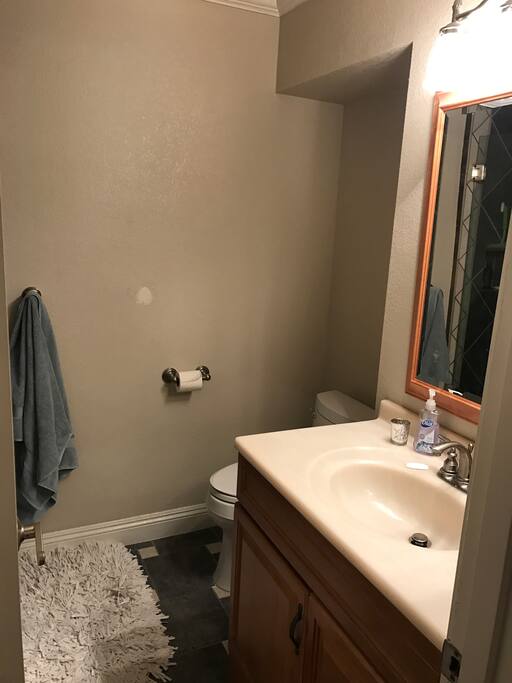 Downstairs Bathroom