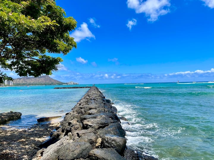 Ala Moana Beach Vacation Rentals Airbnb