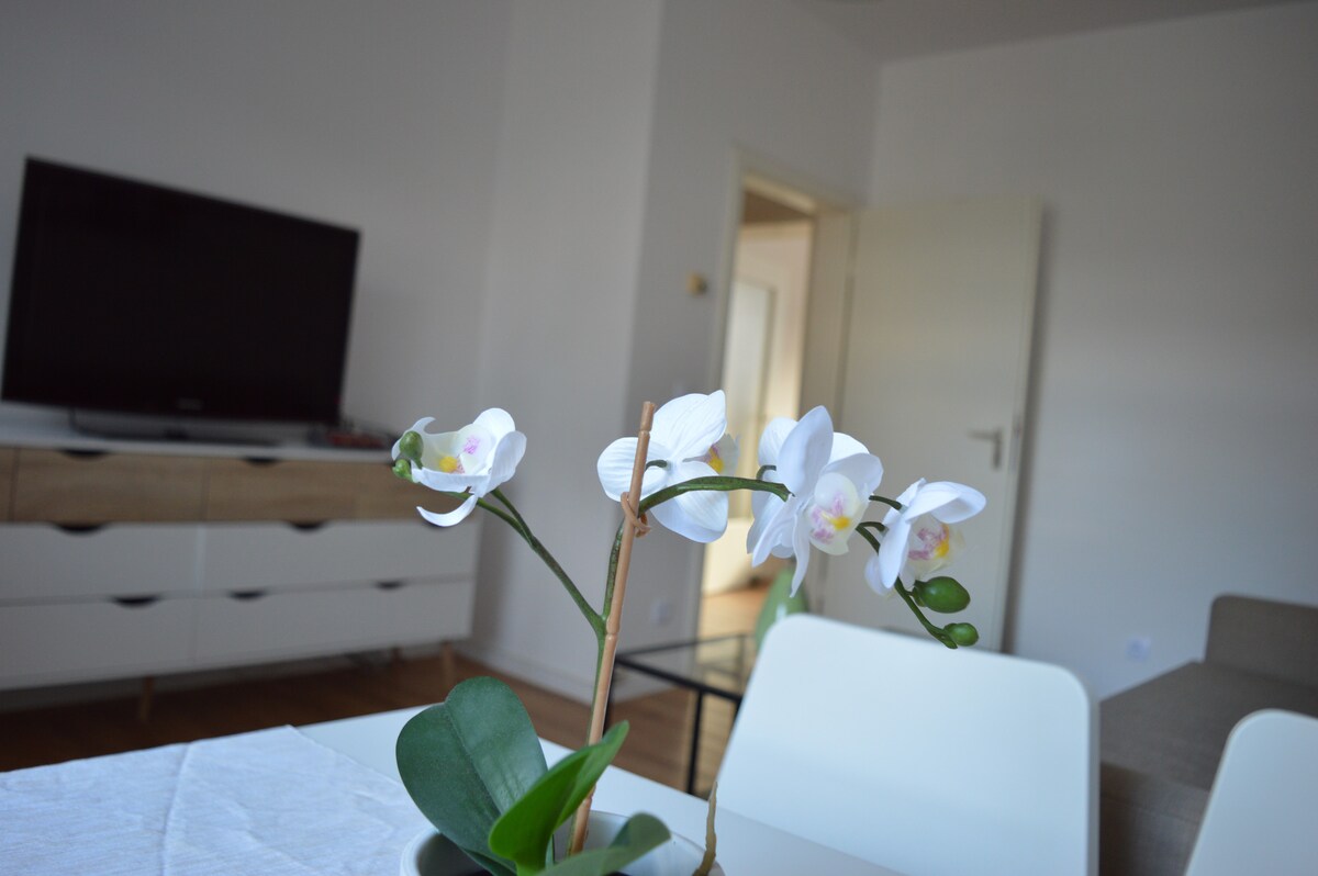 Top Airbnb: Rüttenscheid, Messe, Uni, Central Station. in Südviertel