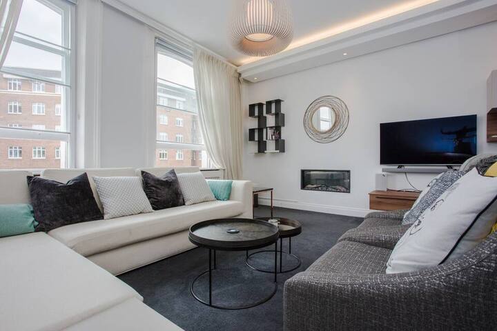 Homely Modern Apartment in South Kensington
