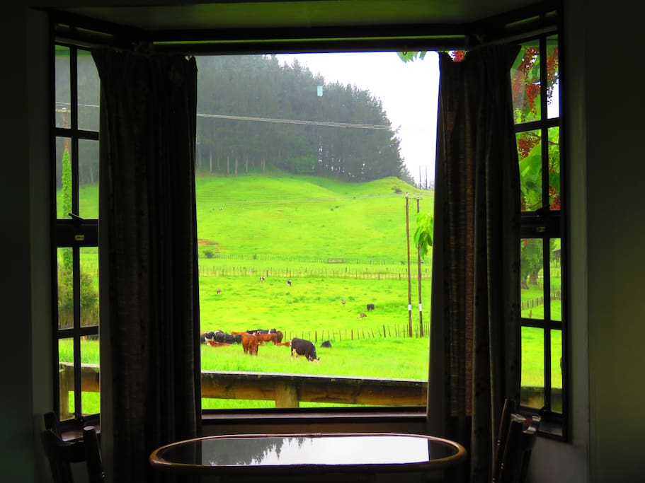 Peaceful NZ Green!!