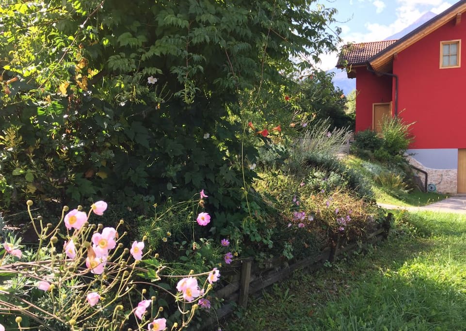 La casa rossa vista dal giardino