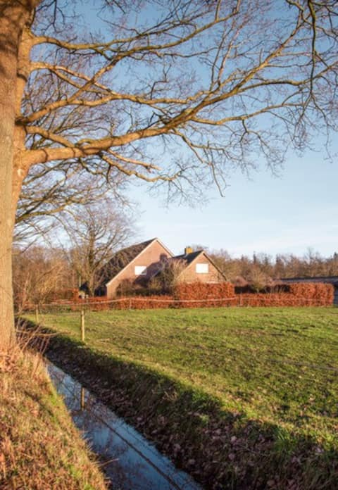 Beautifully located 8-person holiday home by the woods