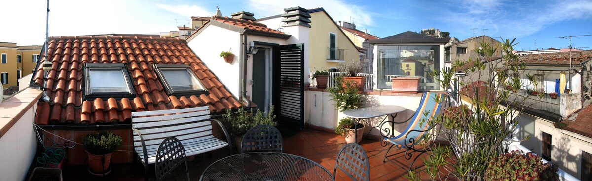 A sunlit terrace features a variety of potted plants, a circular table, and chairs. A partial view of the surrounding buildings is visible, showcasing a mix of rooftops and clear blue skies. The entrance to the terrace is framed by a sliding door.