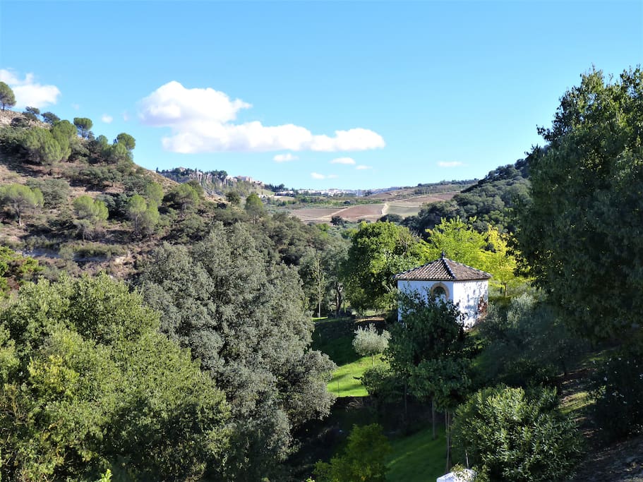 Vista de Ronda / View of Ronda