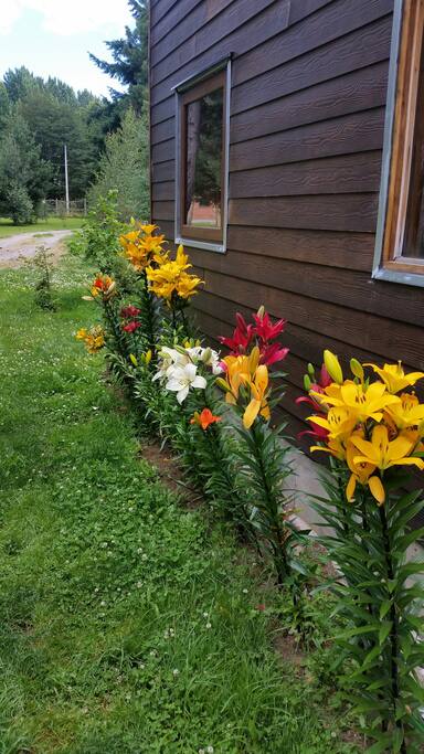 Jardines