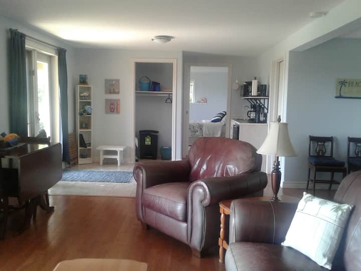 Living Room looking towards the Kitchenette and Bedroom.