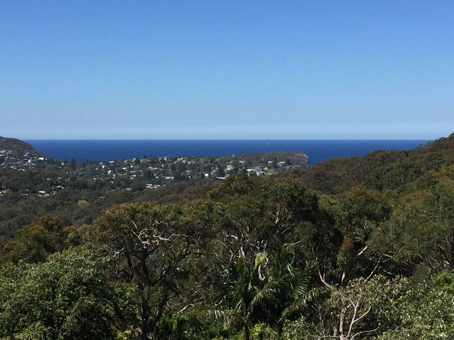 ....while you enjoy the panoramic bush & ocean views