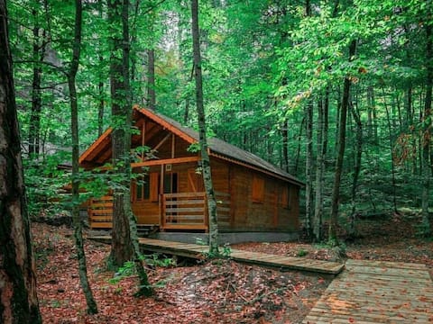 yedigoller vacation rentals homes bagislar turkey airbnb