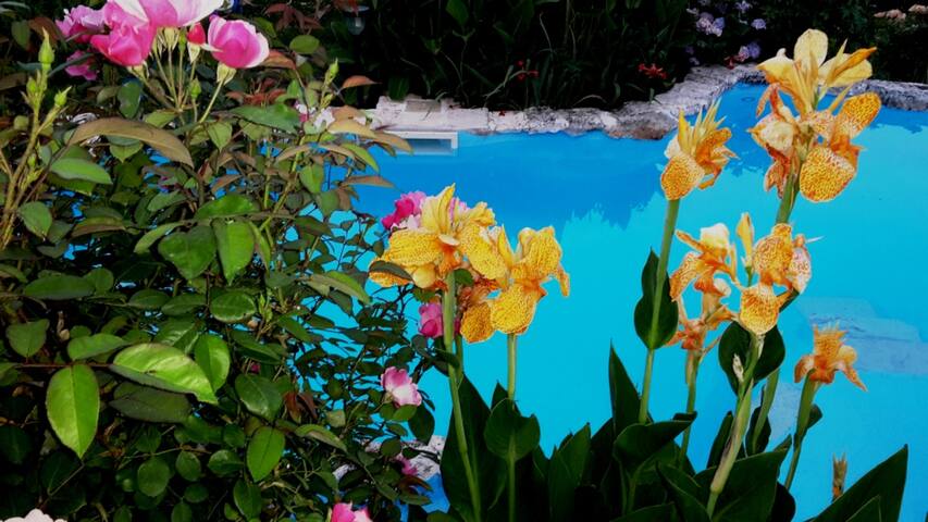 Trulli Girolamo gallery image 4