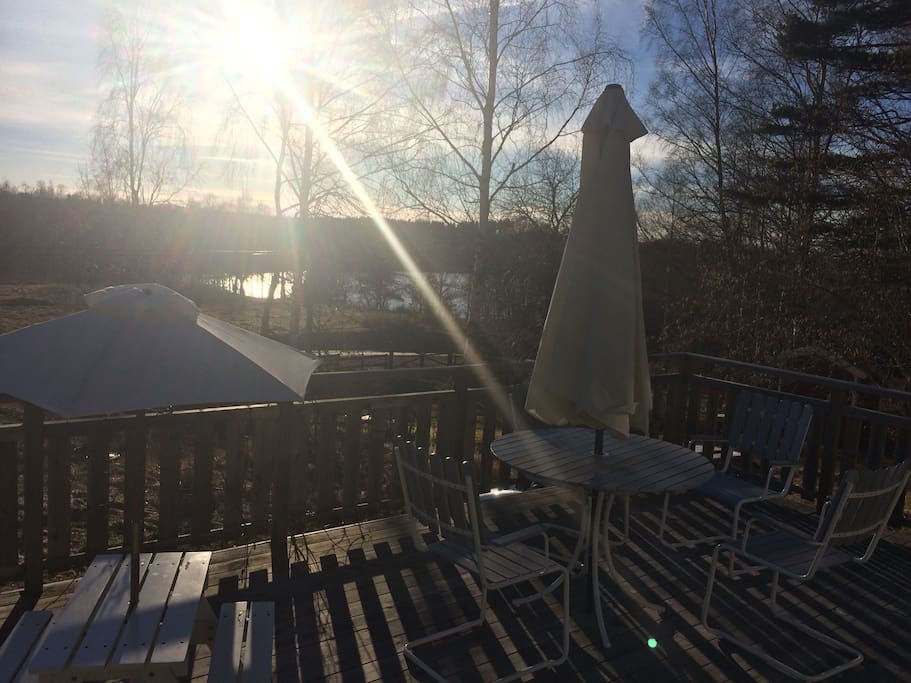 This is the view from the house towards the lake (during spring)