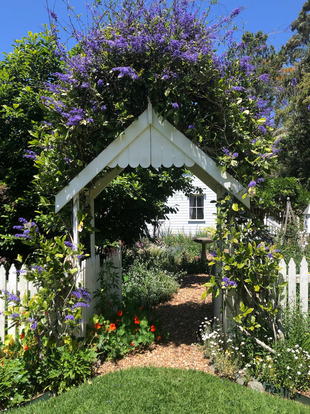 Forget me not cottage | mountain escape | WIFI — photo via the host's Airbnb listing