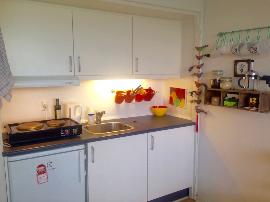 Full Kitchen minus oven