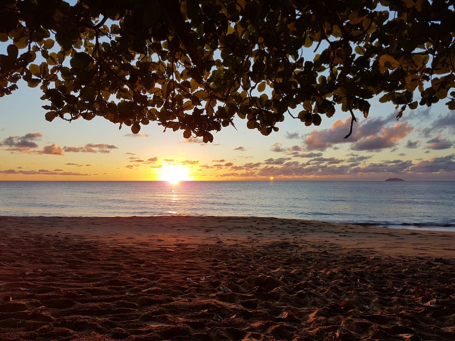 The beach located just steps from the apartment