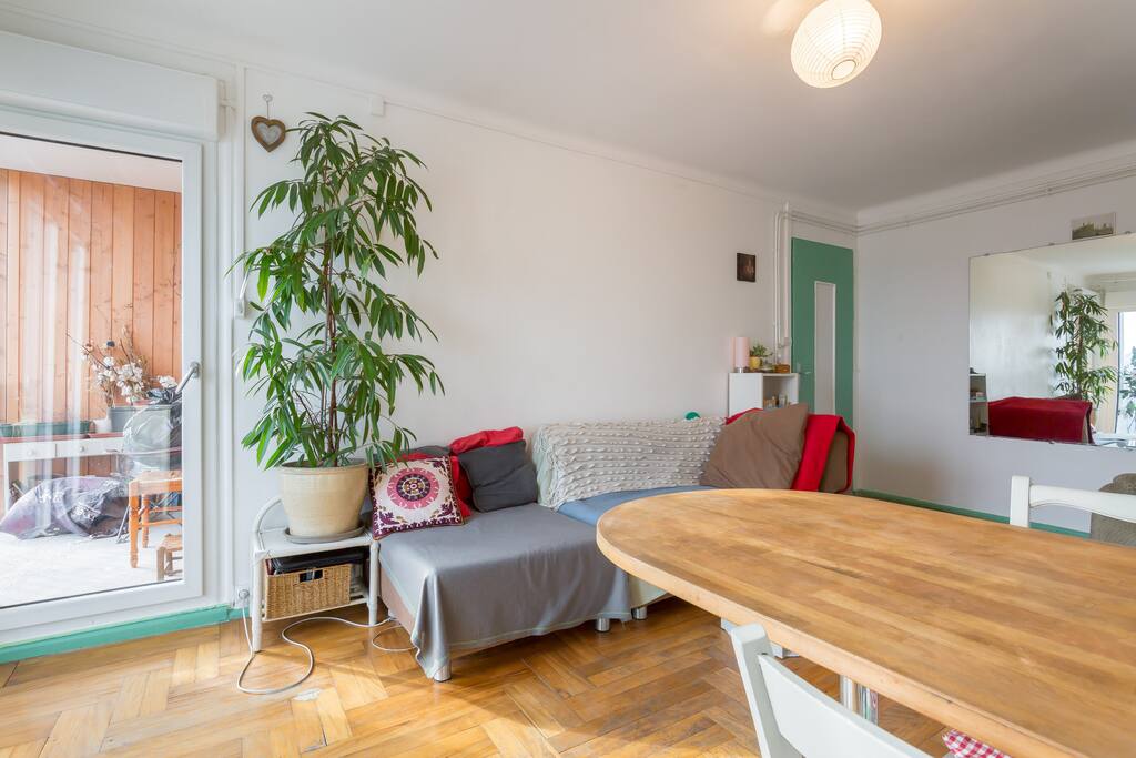 Salon avec porte sur le balcon et vue magnifique sur le fleuve la Saône