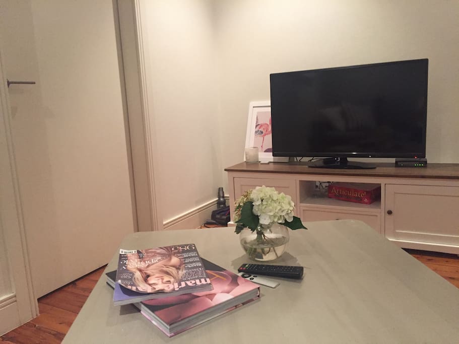 Flatscreen TV with Netflix