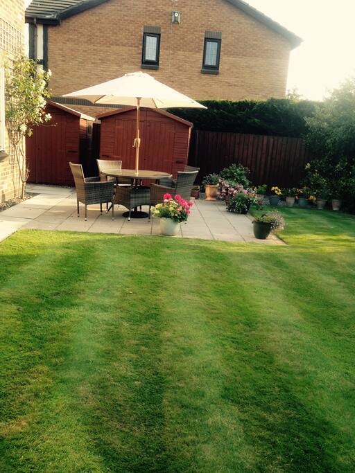 The garden