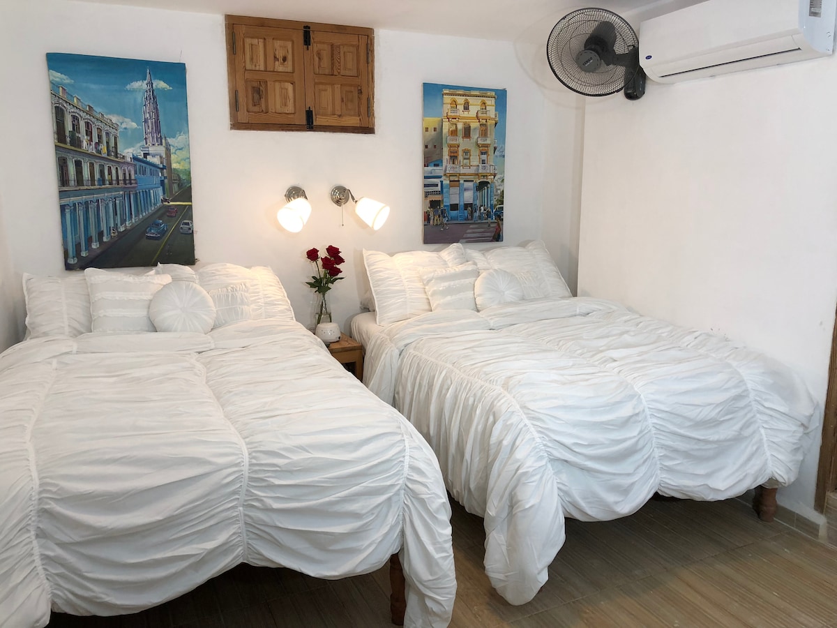 The room features two spacious beds dressed in crisp white linens, enhancing the bright and airy atmosphere. Decorative paintings of Havana decorate the walls, while a small bedside table holds a vase of red roses. An air conditioning unit and a ceiling fan are positioned for comfort.