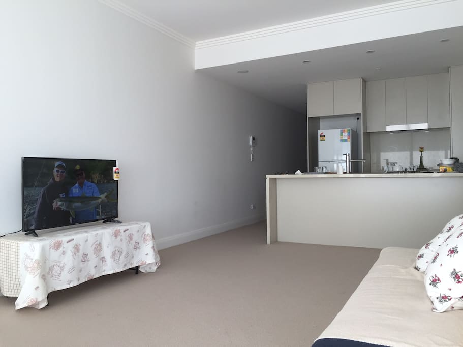 Spacious living room with TV and sofa