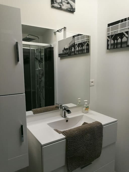 salle d eau avec douche