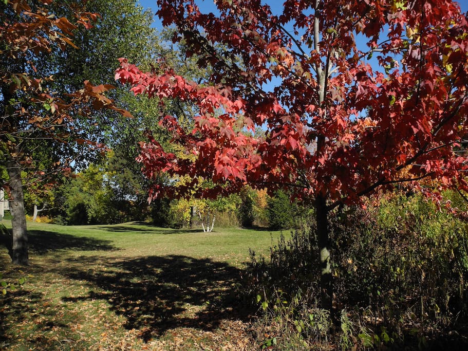 Walking trails