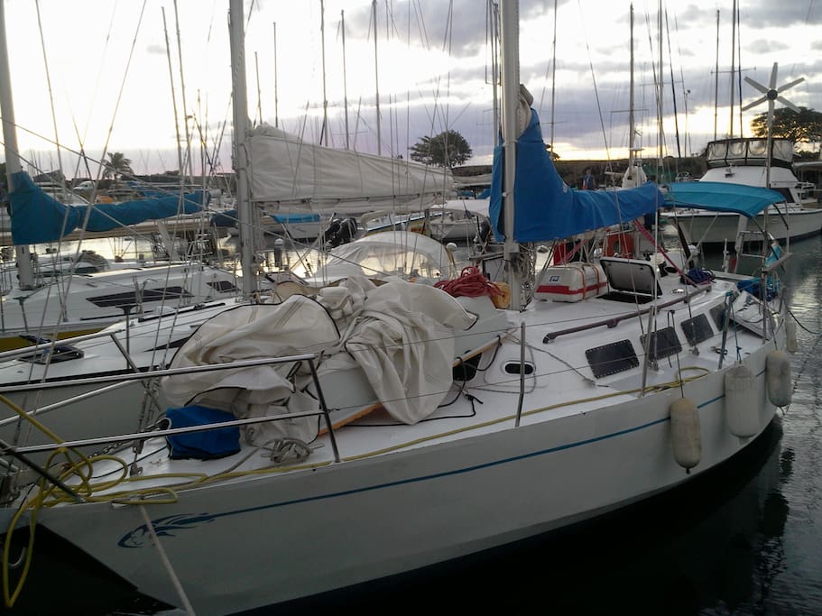 mon bateau le Phédon