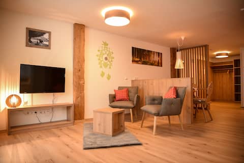 Popular Airbnb listing: 2 Black Forest Titisee Apartment Freiburg Neustadt in Titisee Neustadt