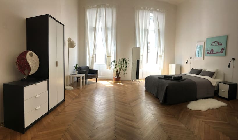 Big bright and private room near Dancing House
