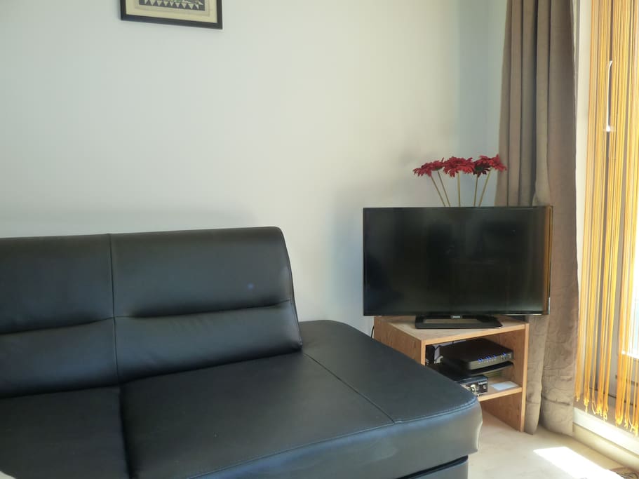 TV & wifi