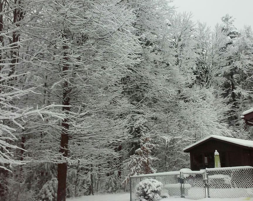 Winter