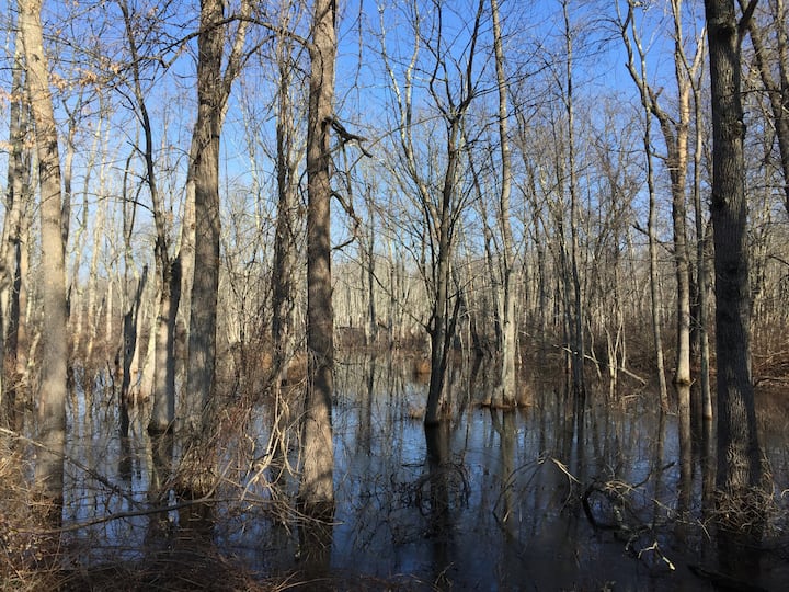 1860s charming farmhouse Houses for Rent in Staatsburg, New York