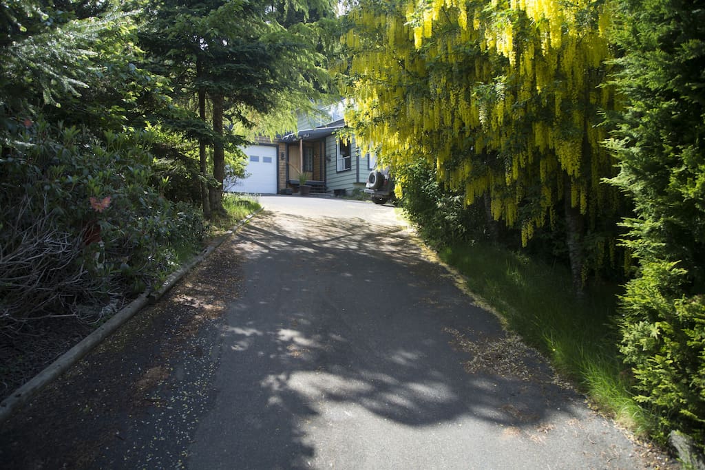 Driveway leading up to the house