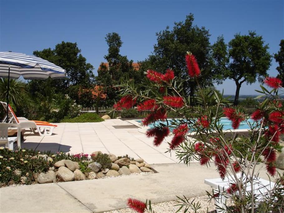 Pool area