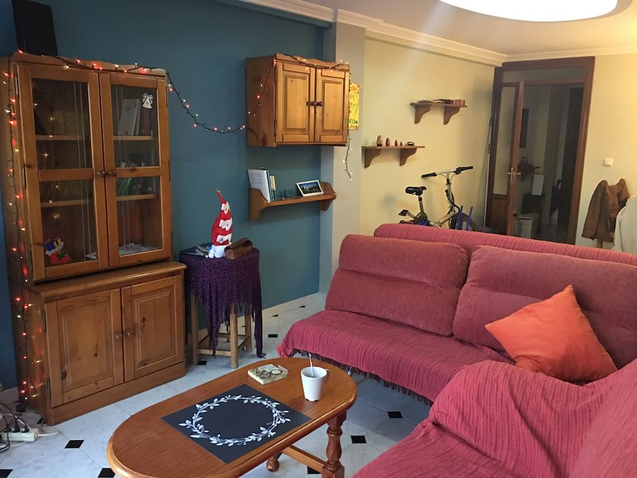 Wide luminous shared living room