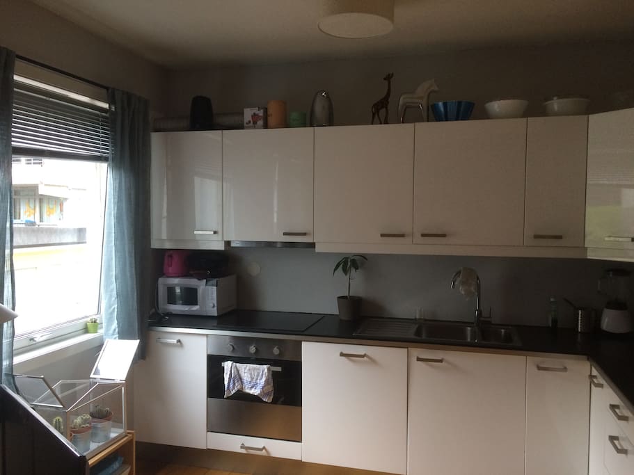 Kitchen with all modern facillities - dishwasher, microwave, tableware, oven ++