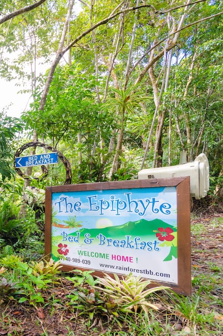 The Epiphyte B & B: sustainable accommodation house and cottages.