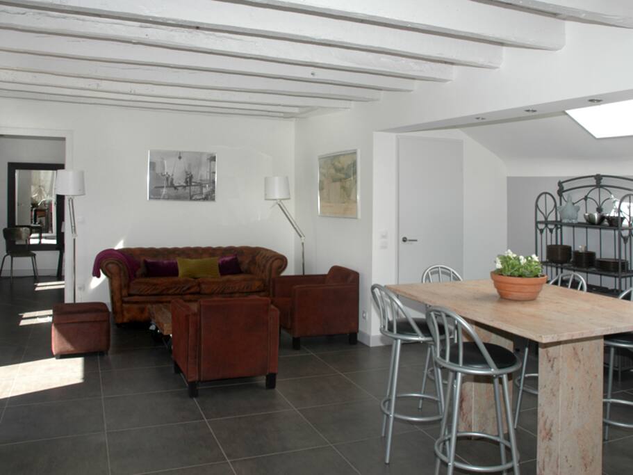 salon ouvert sur cuisine