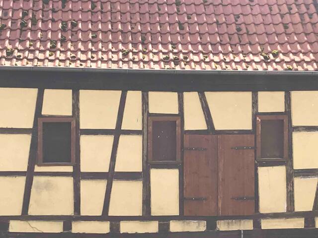 listing_image